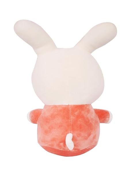 cute-adorable-bunny-rabbit-long-ear-fluffy-soft-stuffed-animal-plush-toy-for-kids-25-cm-random-color