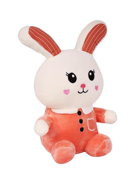 cute-adorable-bunny-rabbit-long-ear-fluffy-soft-stuffed-animal-plush-toy-for-kids-25-cm-random-color